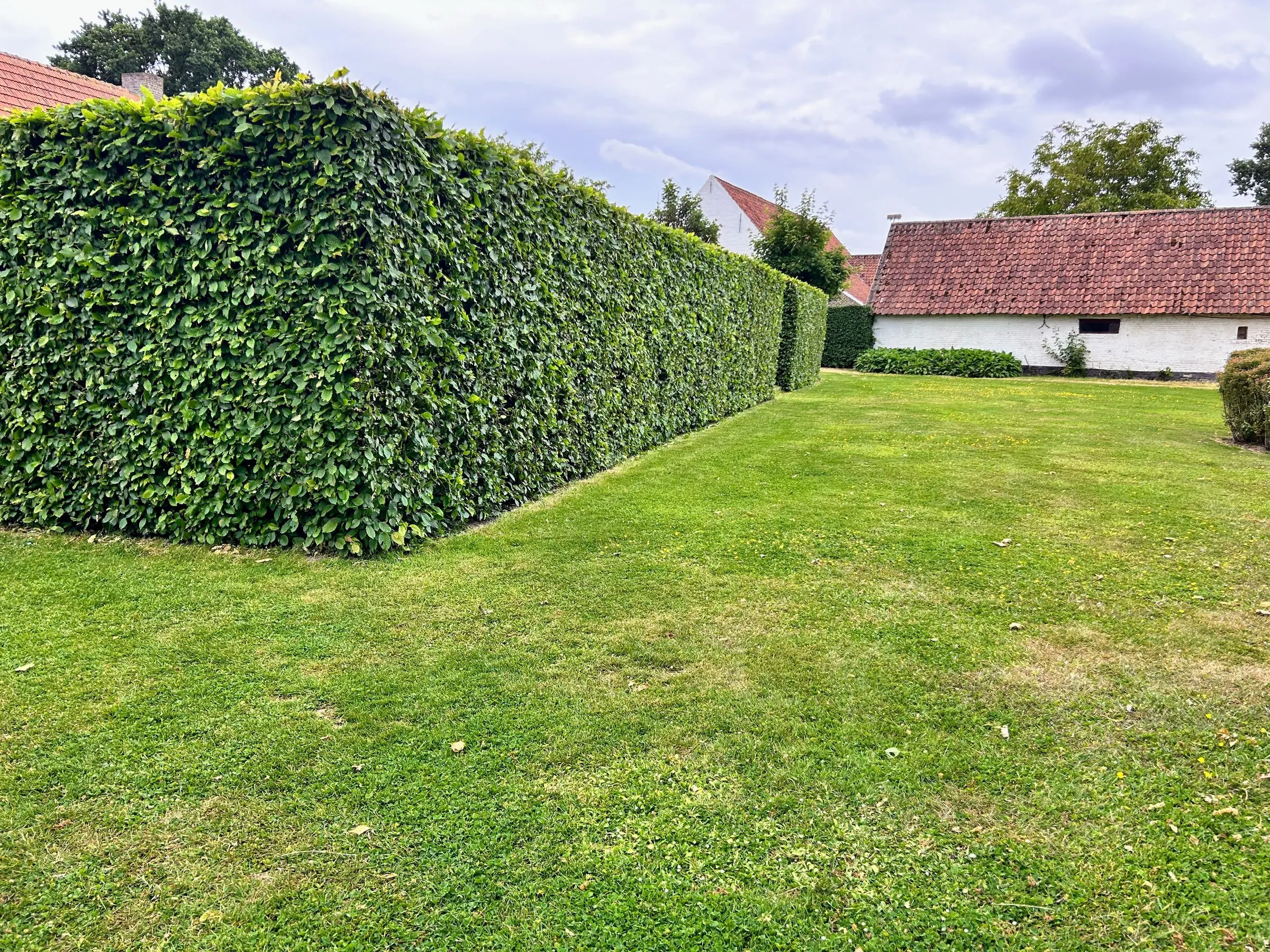 Geschoren hagen en vormsnoei in een onderhouden tuin door L&R Projects, foto 3 van 5